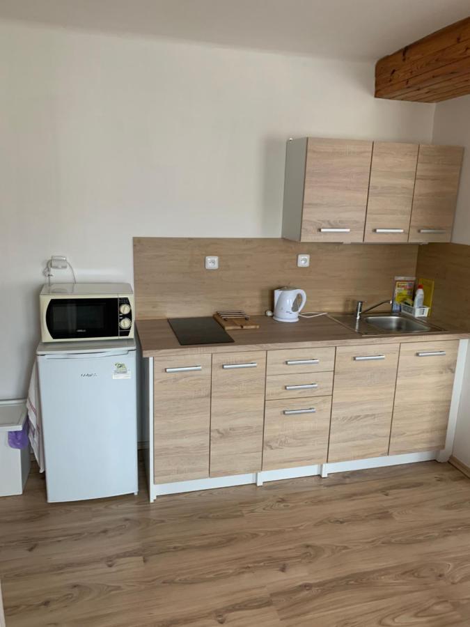 Privat Zelezny Brod Apartment Ngoại thất bức ảnh